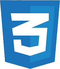 CSS Logo
